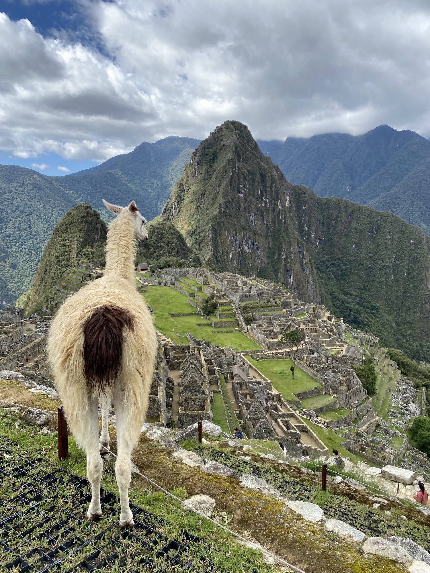 There, a perfect photo of Machu Picchu!