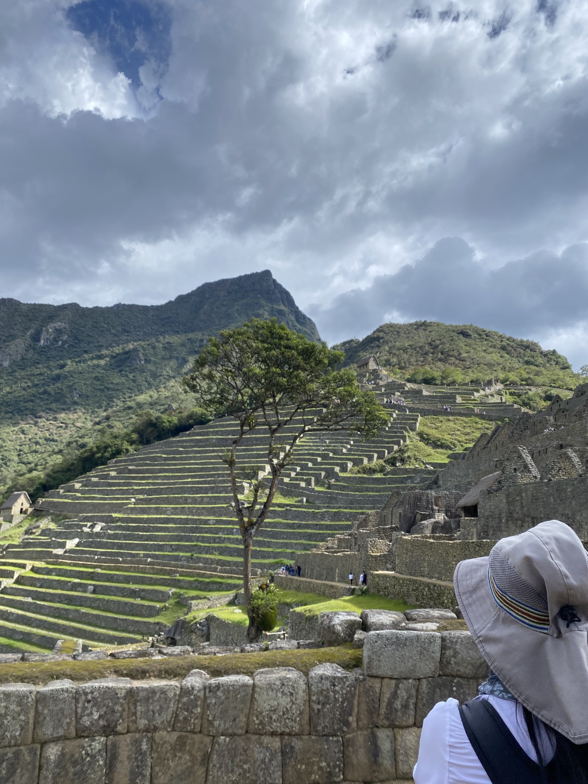 Terraces are a feat of human ingenuity!