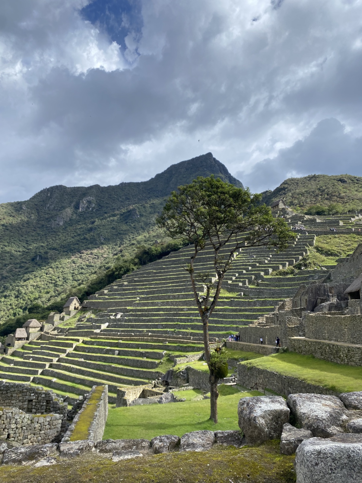 They use terraces like this to increase areas where they can plant, and to have better control of water for irrigation