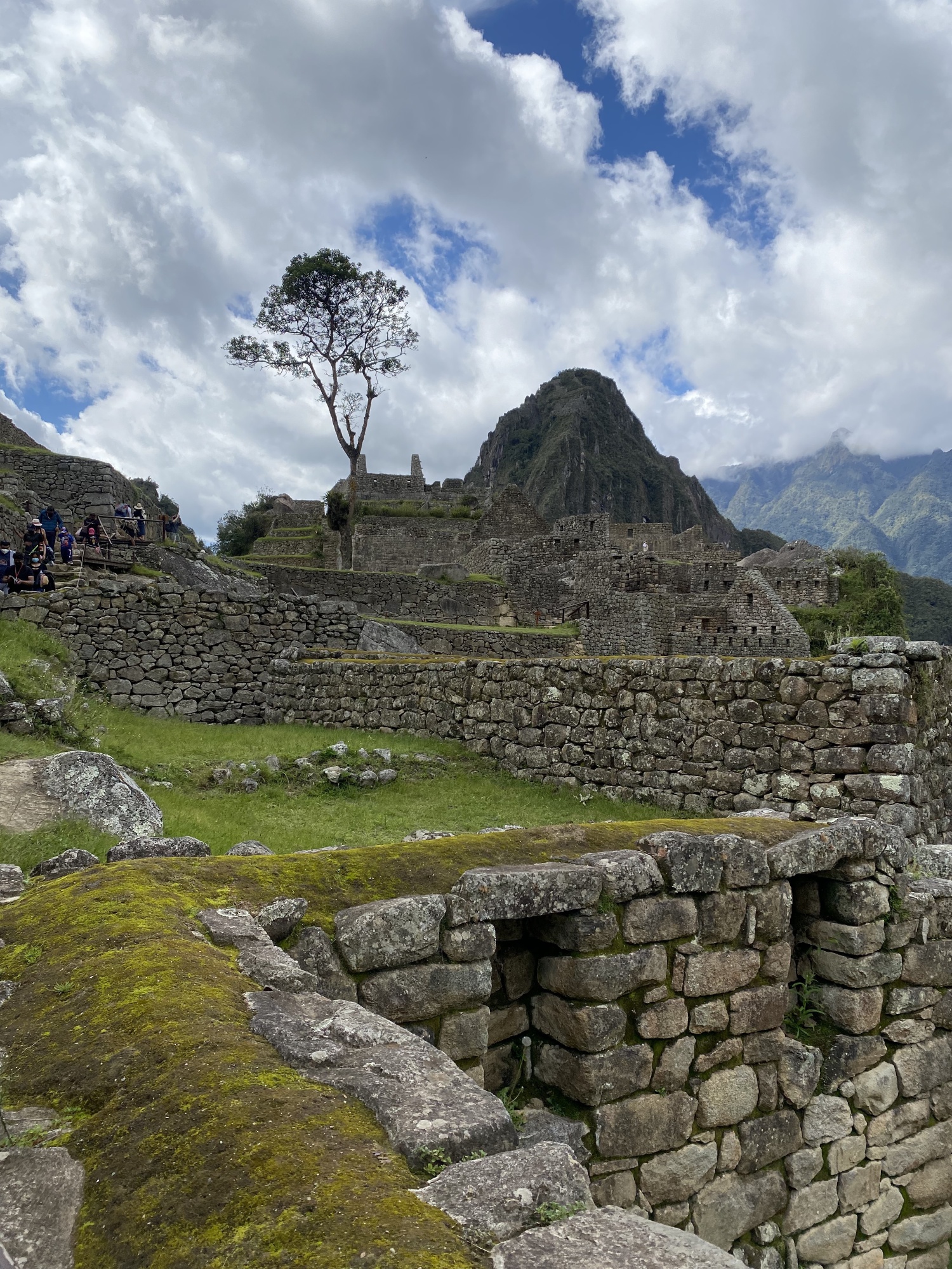 On the way out of Machu Picchu...