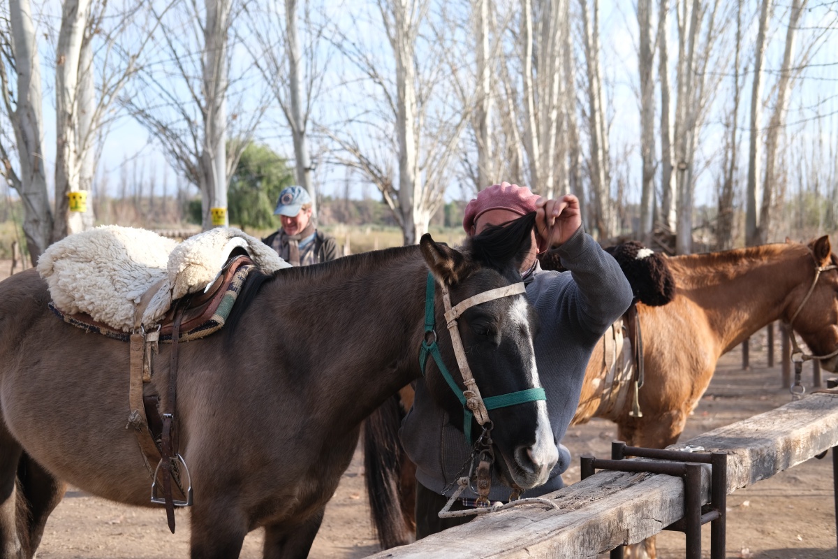 First stop was at Rancho Viejo, where we would be riding these horses through Malbec vineyards!