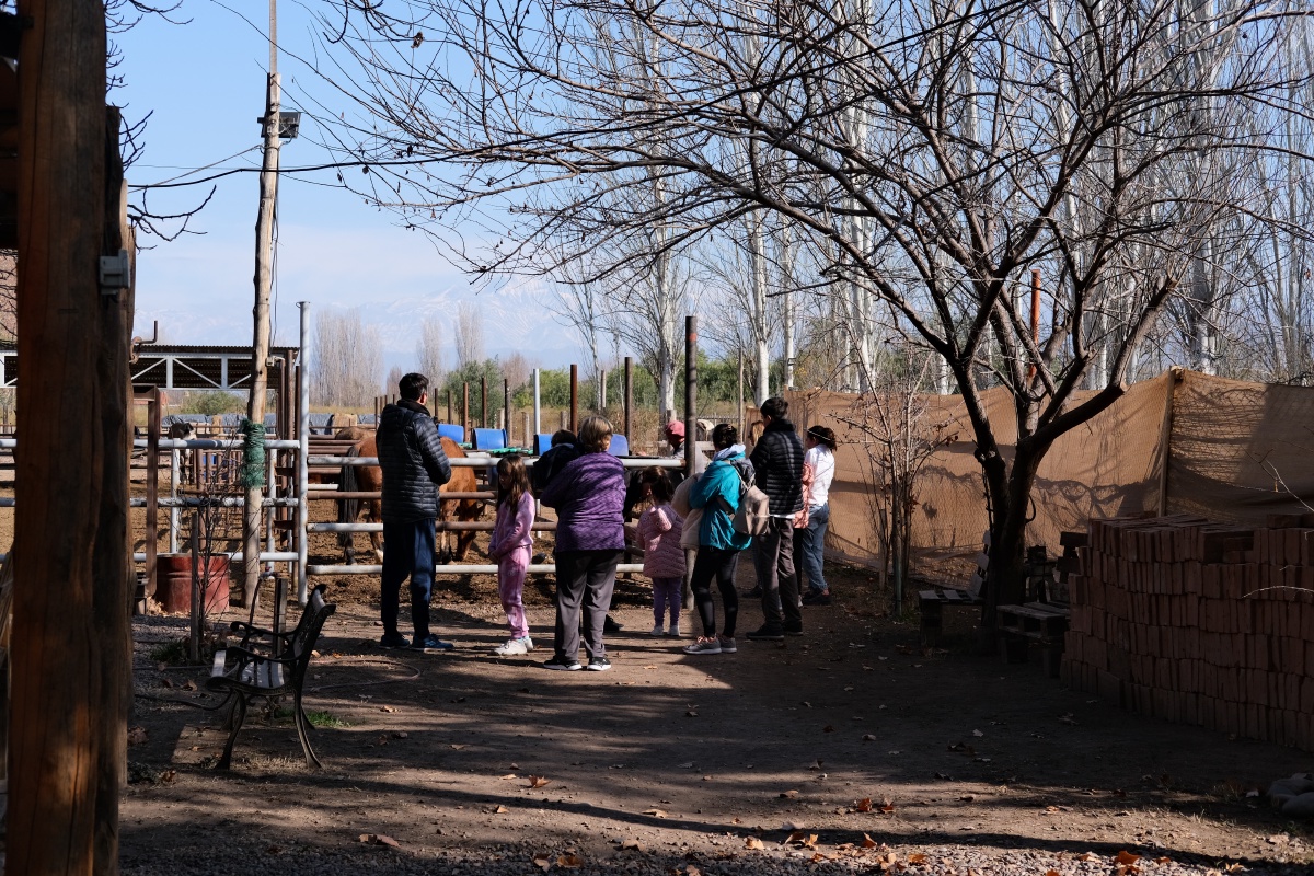 A family off to ride horses through Malbec vineyards