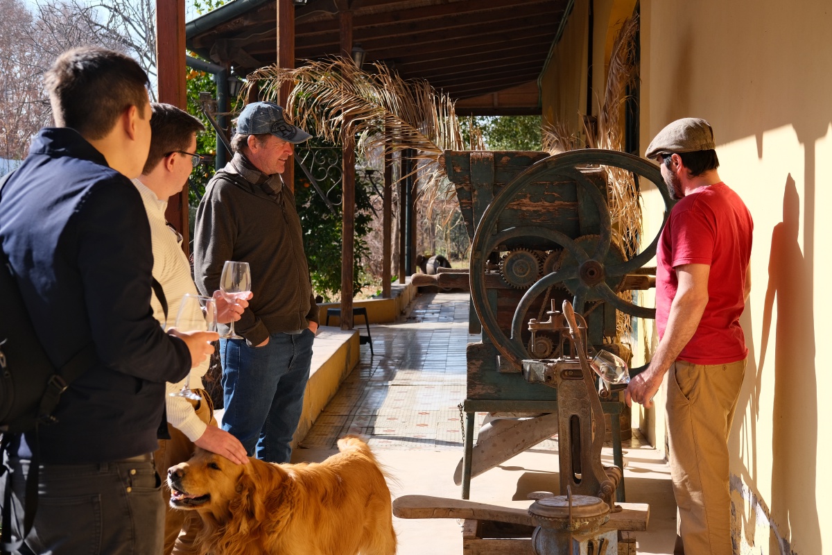 ... needs some pets! They still use these machines in pressing the grapes...