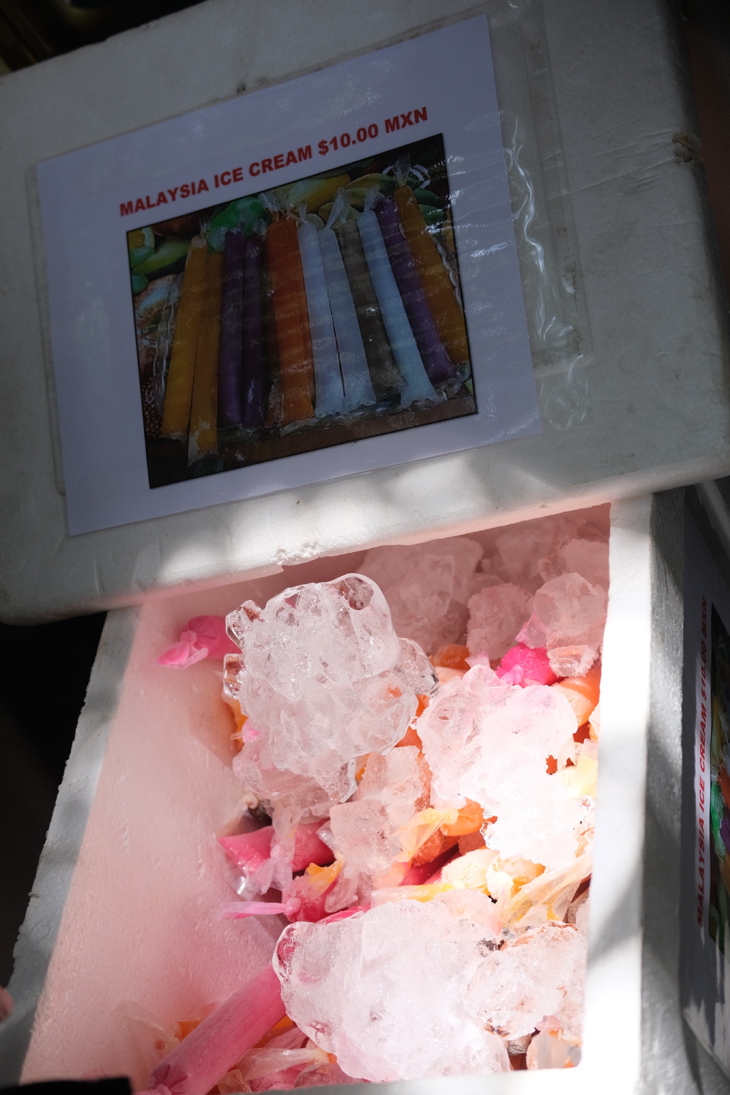 Malaysia booth had Ice Candy!
