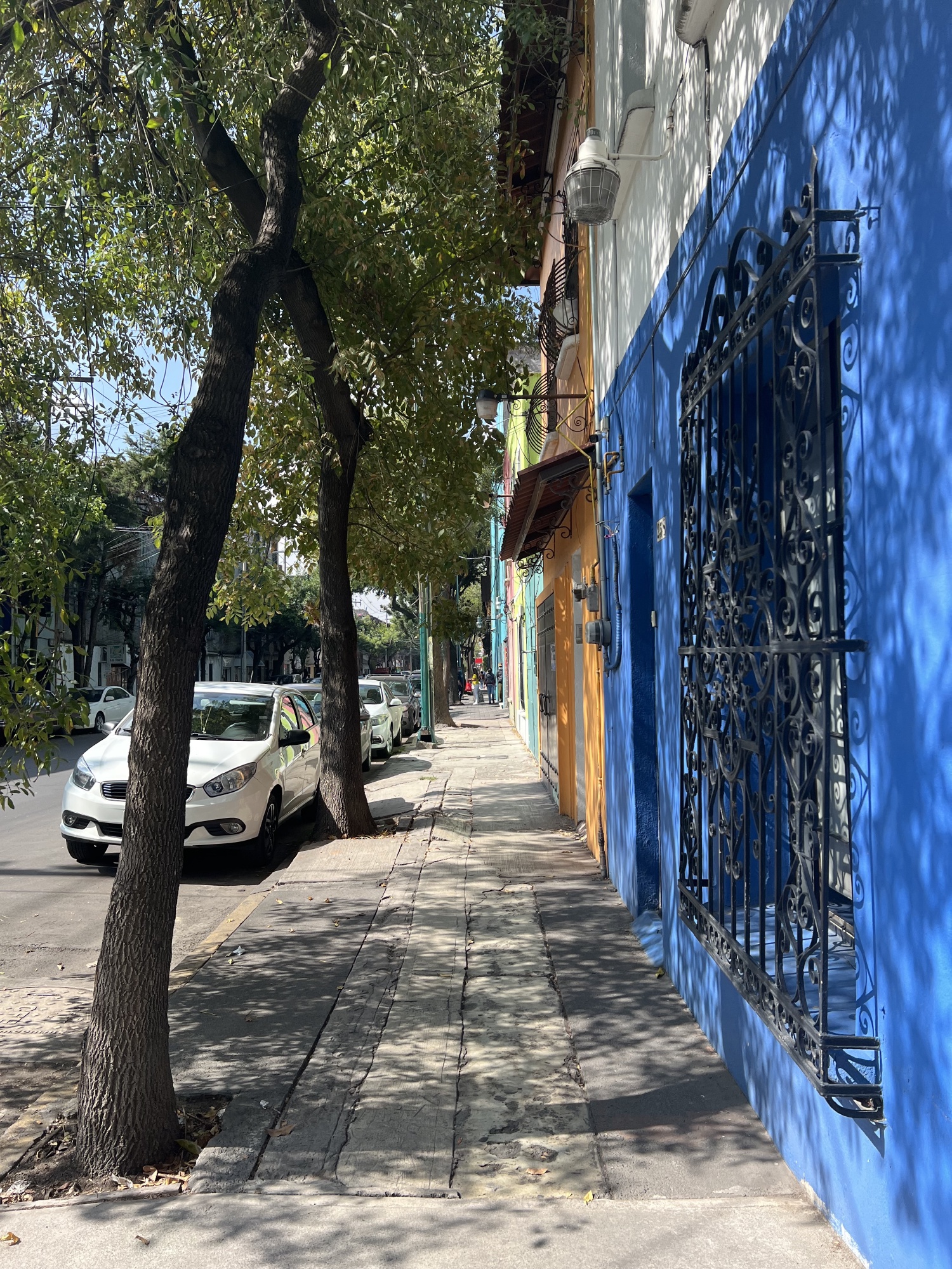 This is our neighborhood in CDMX this time, where it has a homey feel and lined with colorful houses and trees that protect you from the sun.