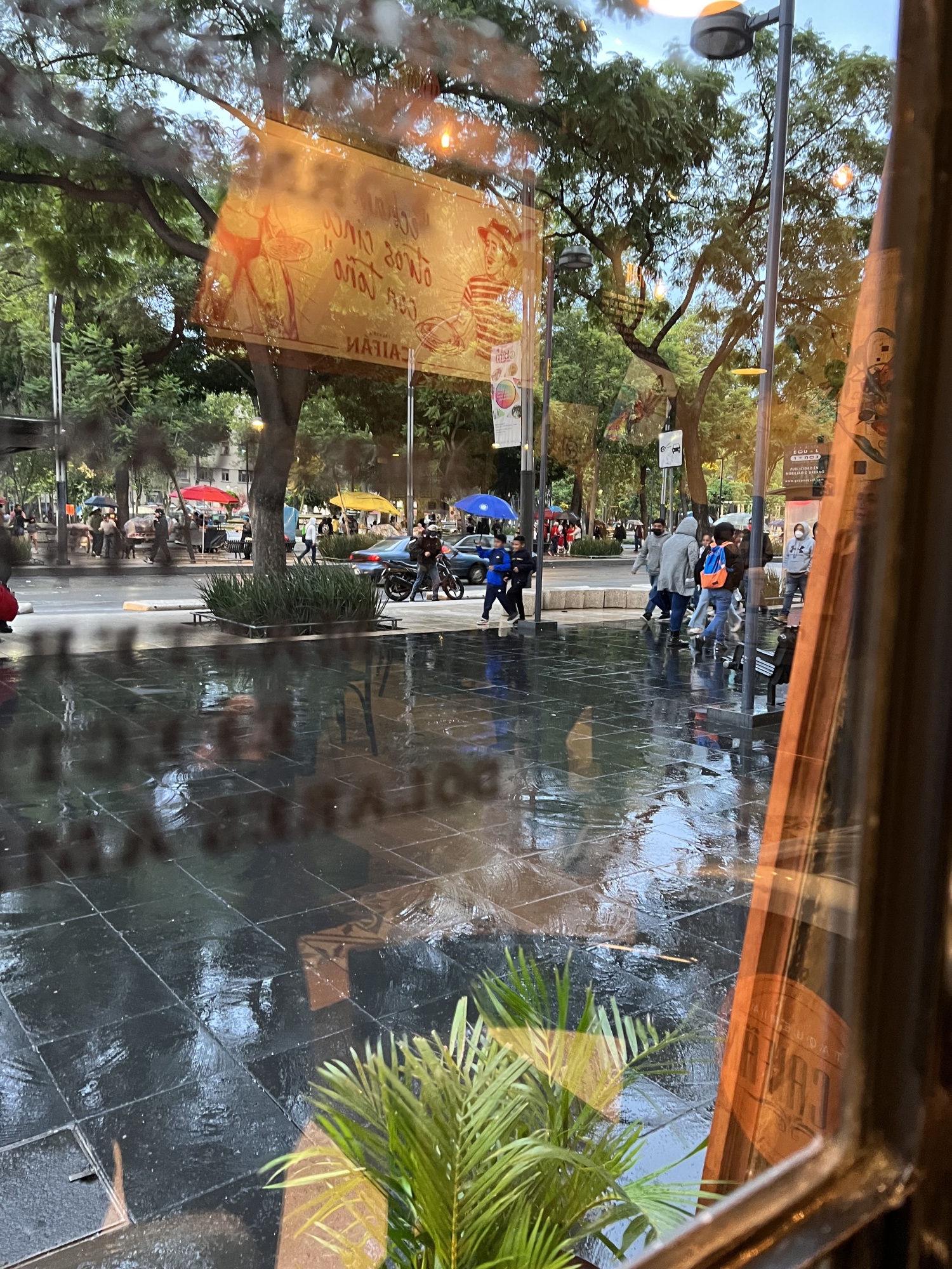 Rains in Mexico