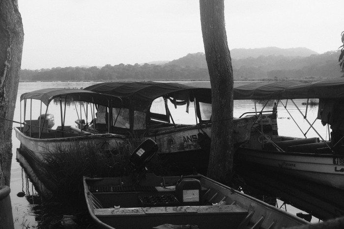 Private Tour Down The Panama Canal, and Seeing Sloths!