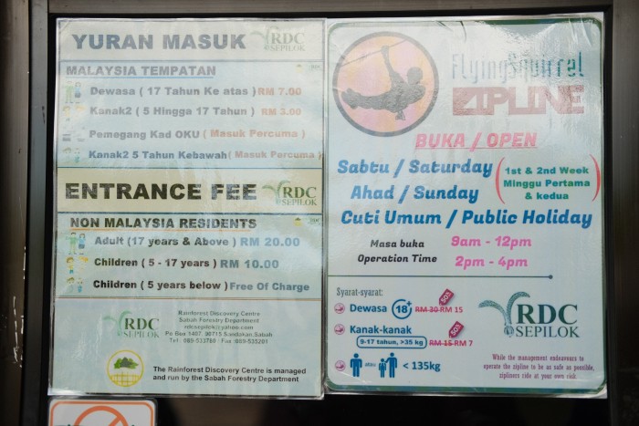 Exploring Borneo: Sepilok Rainforest, Orangutans and Sun Bears