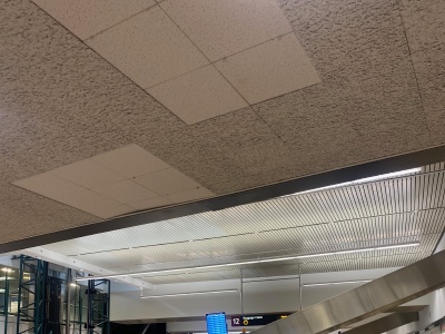 IMG_3236.jpeg