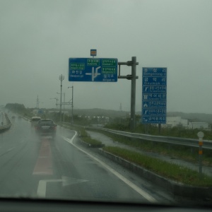 Rainy Seogwipo, Jusangjeollidae, Jeju - South Korea