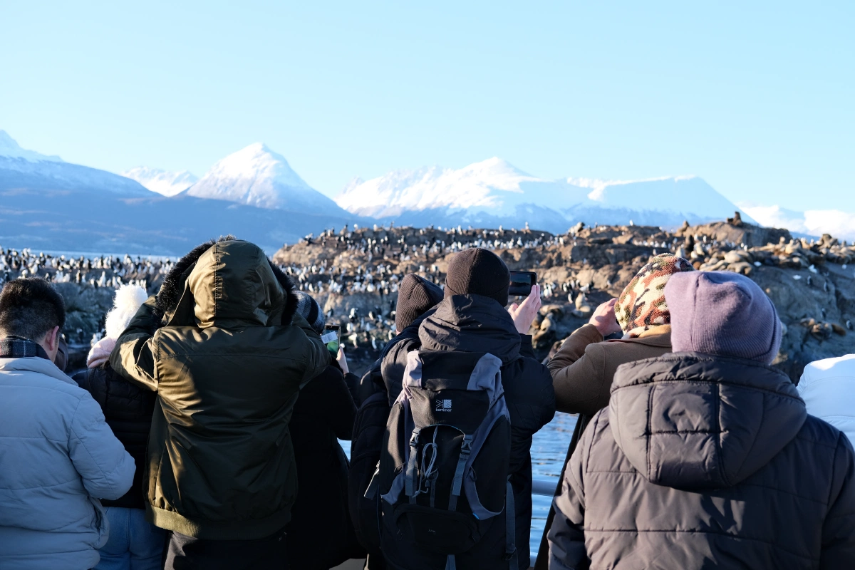 The view from the bow (AKA front of the ship), people all had their camera phones out and enjoying looking at the penguins and sea lions