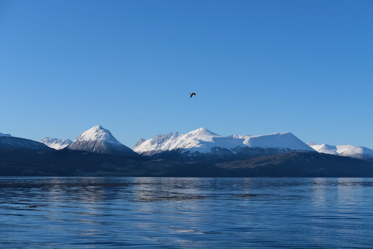 The Canal Beagle is nestled between Argentina and Chile. We had snowy mountains to our left and right