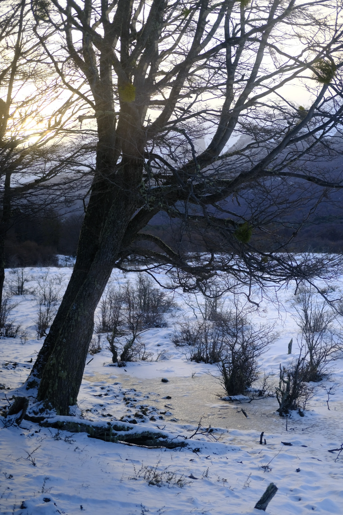 ... and frozen...
