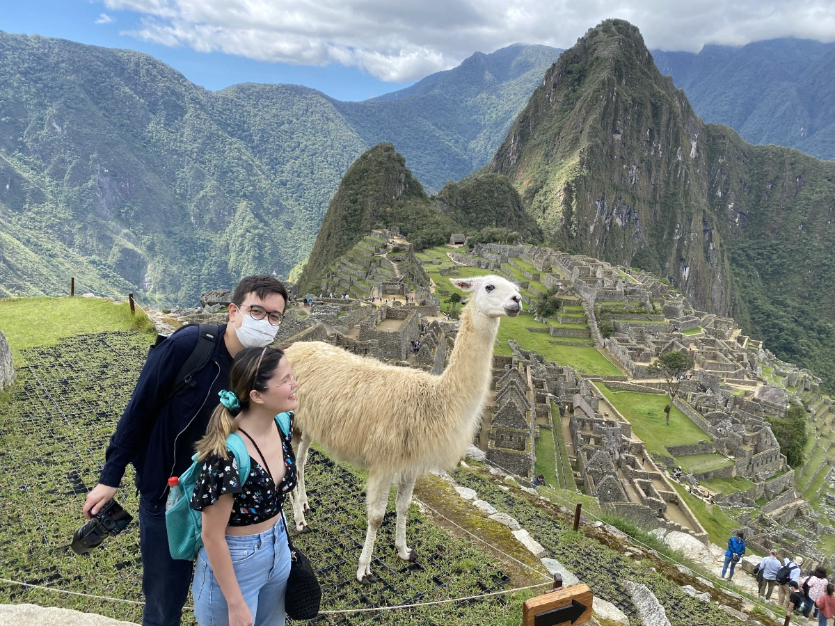WE SAW A LLAMA!!! Did you know they were only put there by the Peruvian government for tourism purposes?