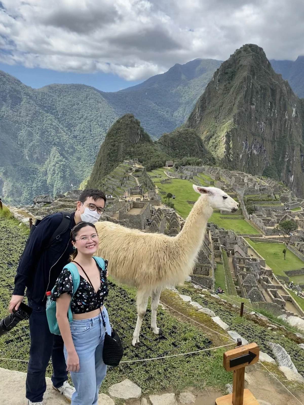 This Llama had an attitude, and was jumping up and town looking for some fruits 