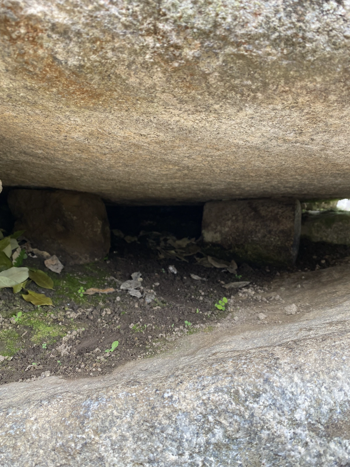 The Incas were masters of irrigation, and had these systems for water to flow
