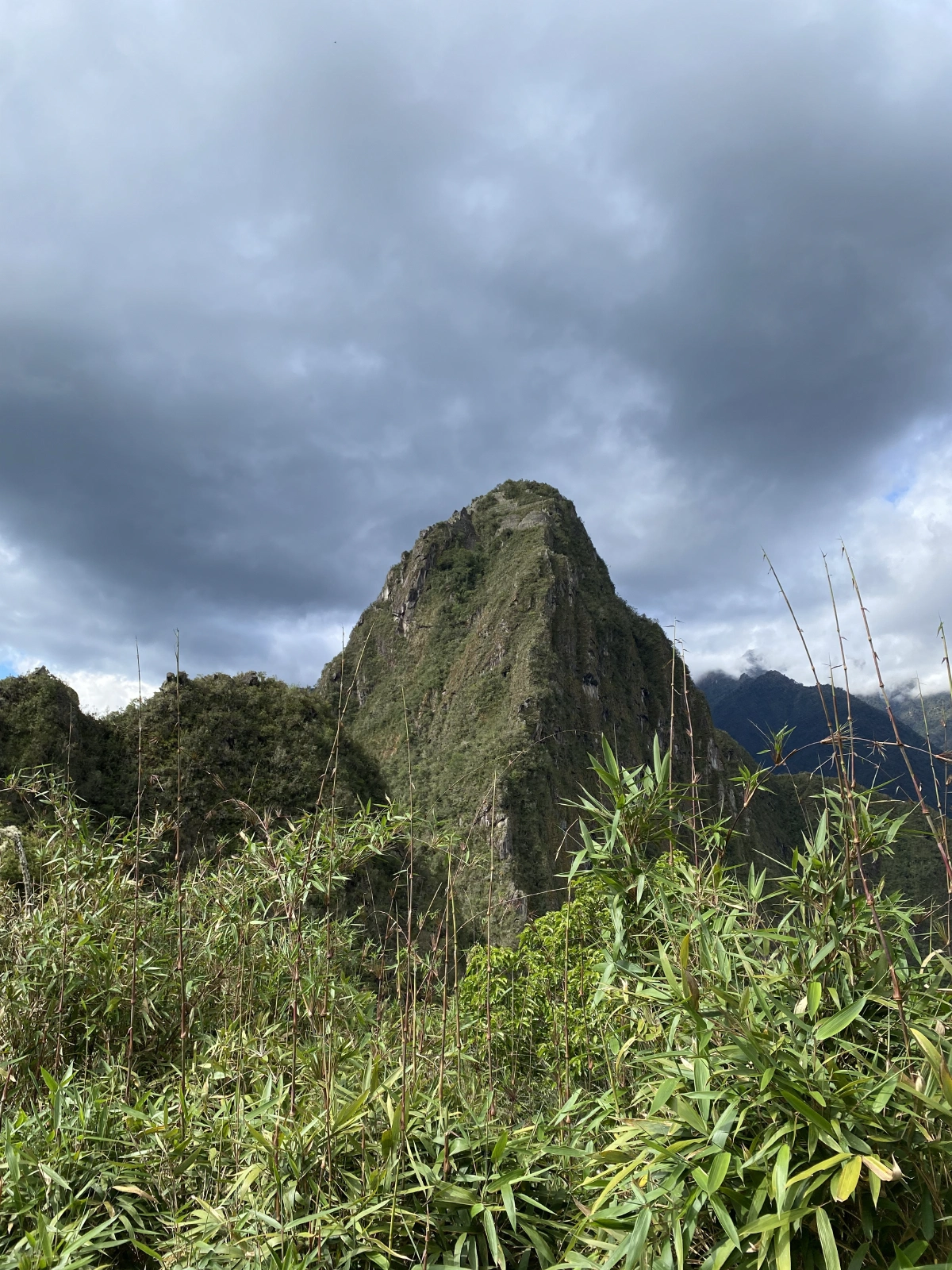 Huayna Picchu
