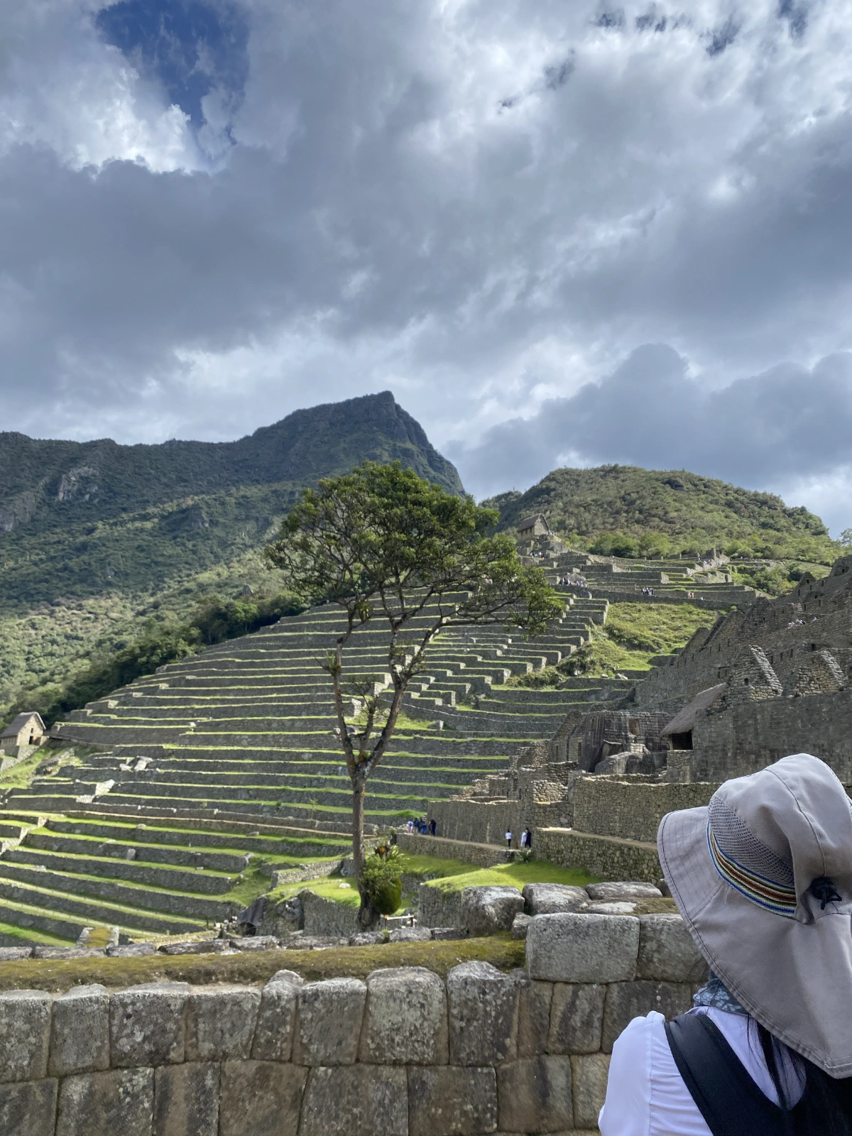 Terraces are a feat of human ingenuity!