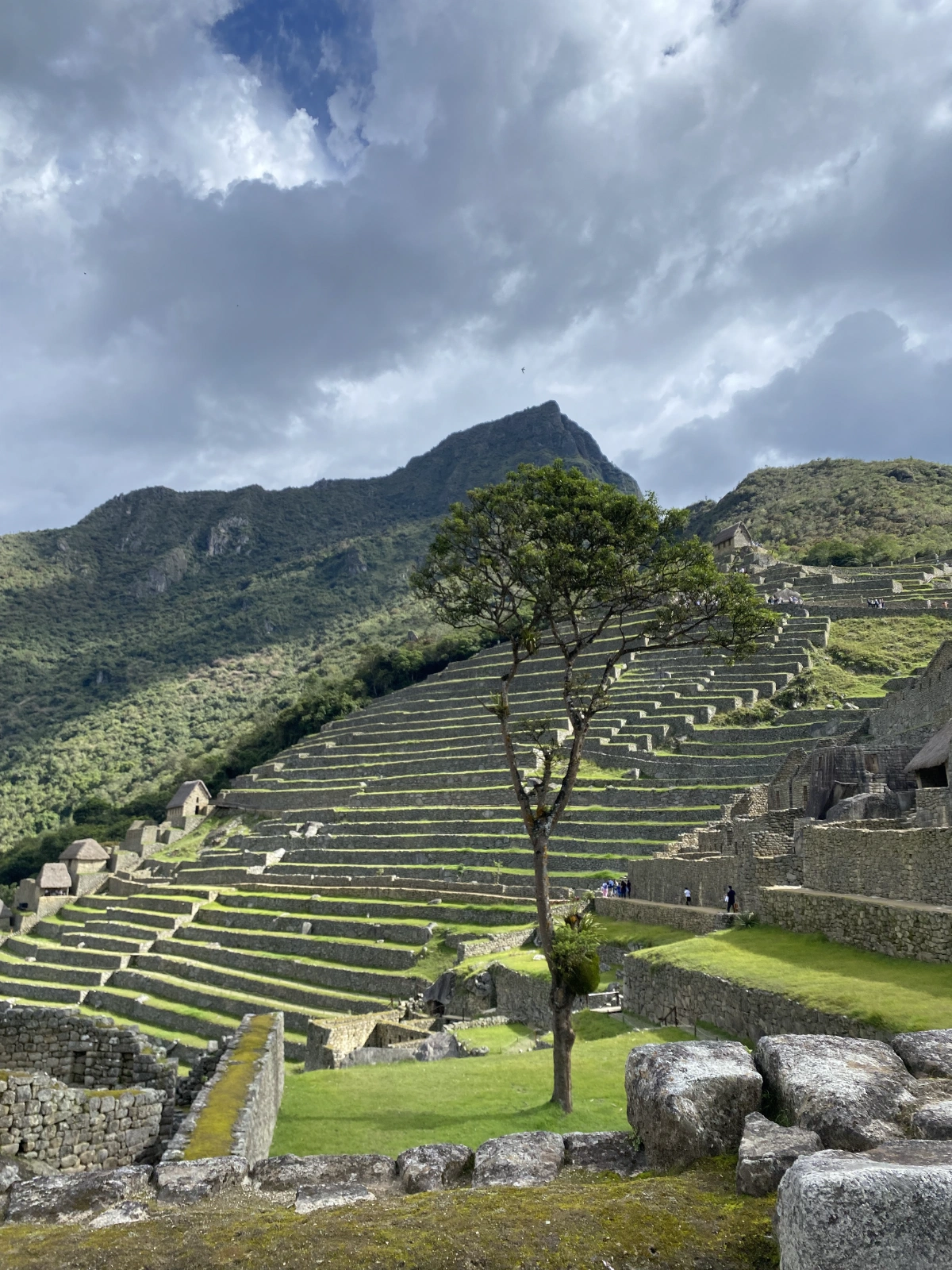 They use terraces like this to increase areas where they can plant, and to have better control of water for irrigation