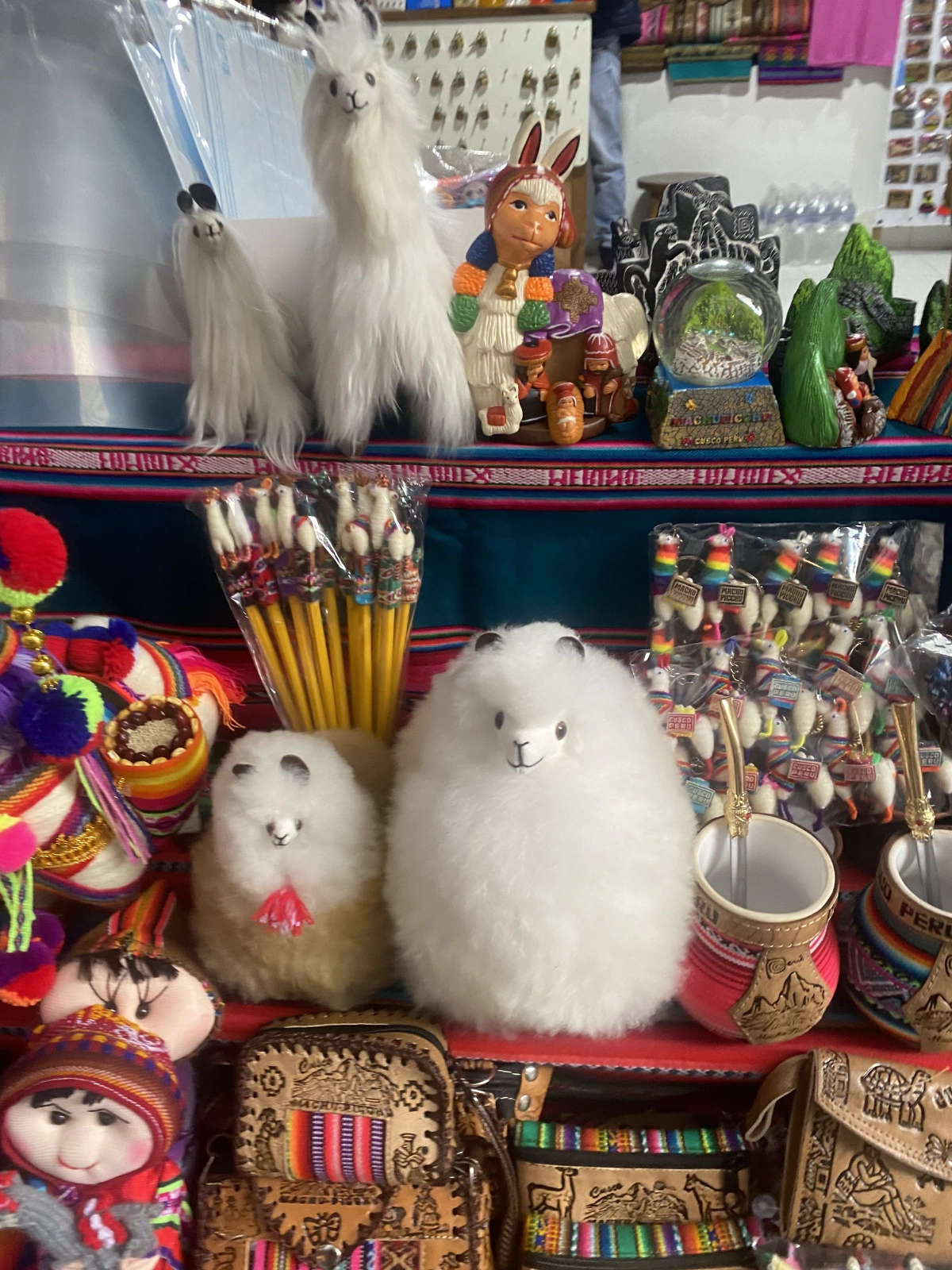 What a cute Llama!!!