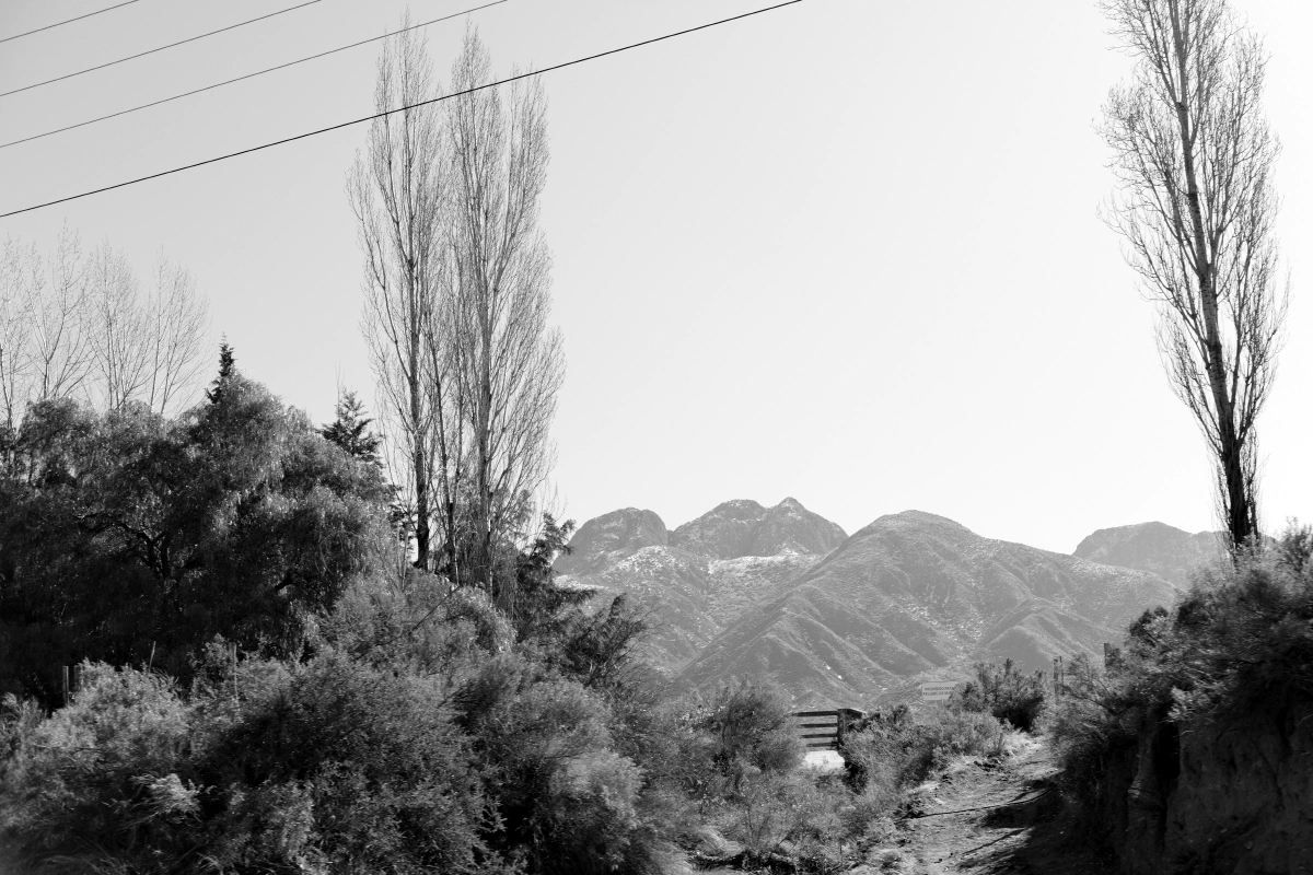 Mendoza is 746 meters above sea level, so it's quite chilly