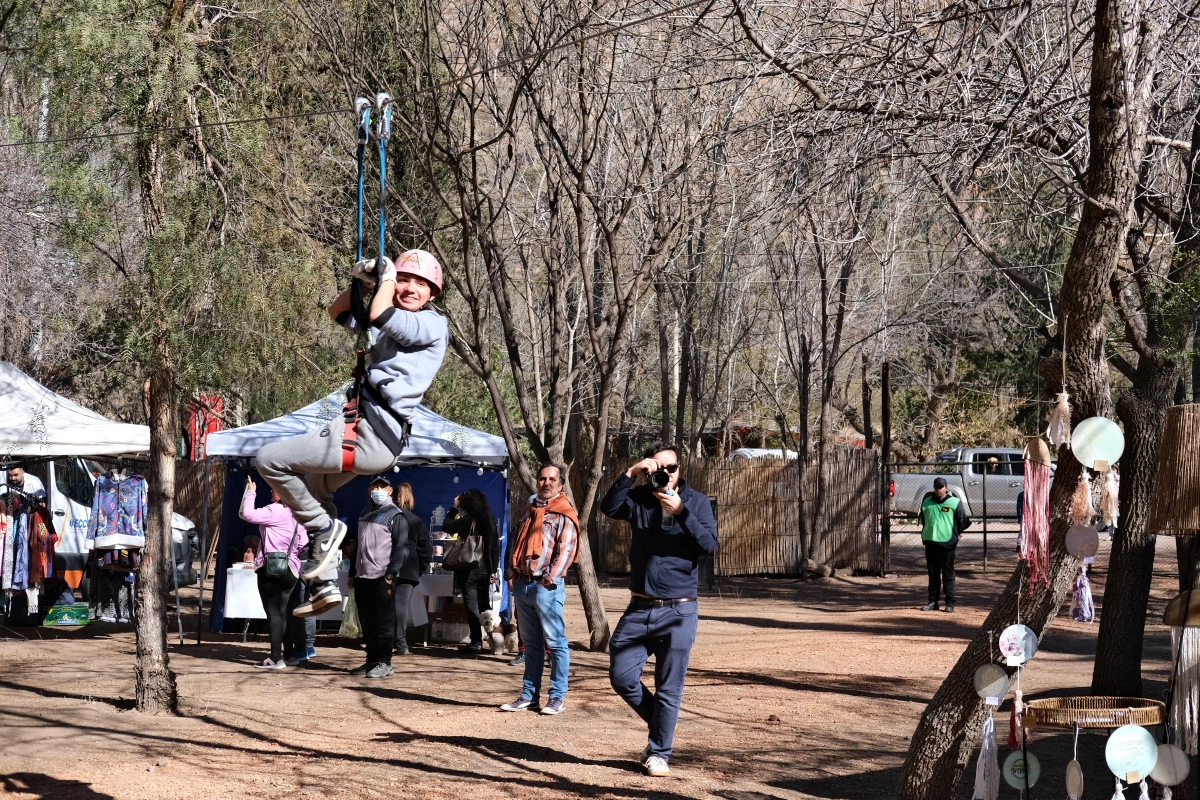 I was just walking through the festoval grounds and then people told me to get out of the way... Whoops it's a zipline area. 