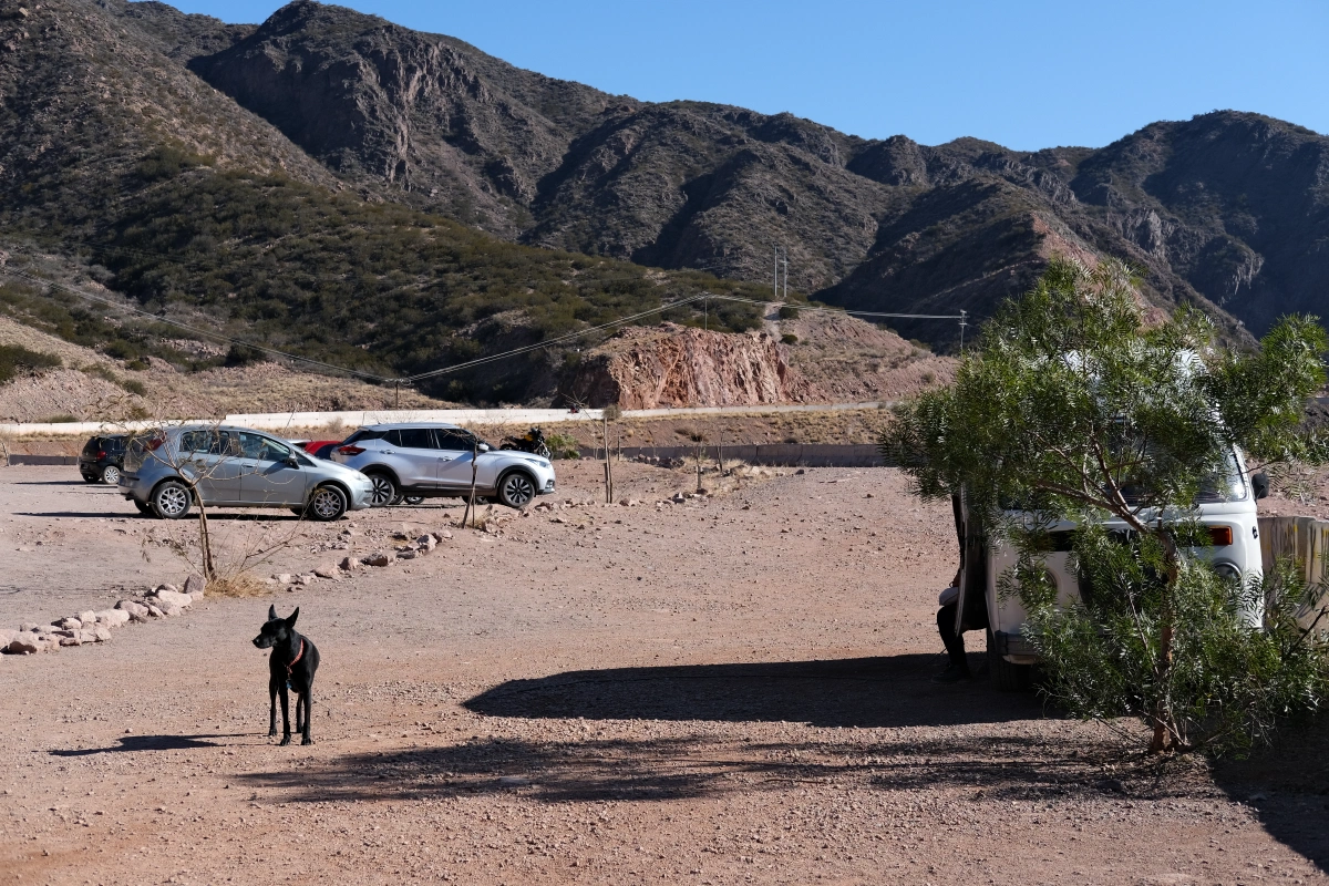 El perro 