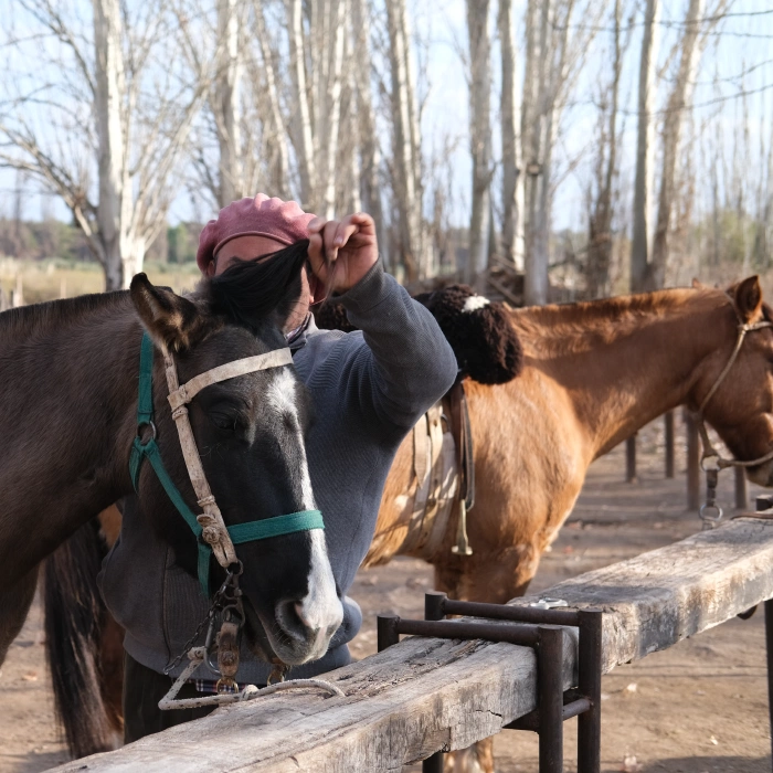 Horseback Riding Through the Mendoza Malbec Vineyards