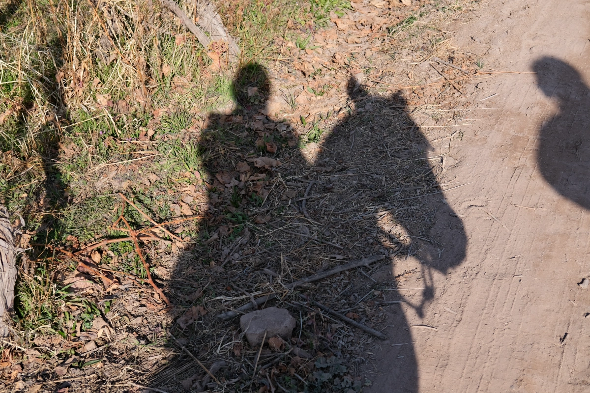 Me on a horse, I thought I was scared of horses because of how big they were...