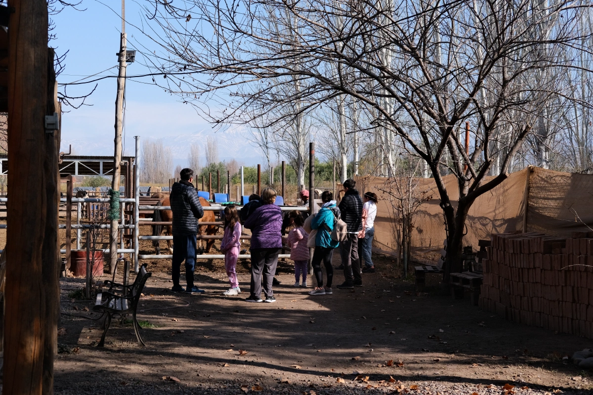 A family off to ride horses through Malbec vineyards