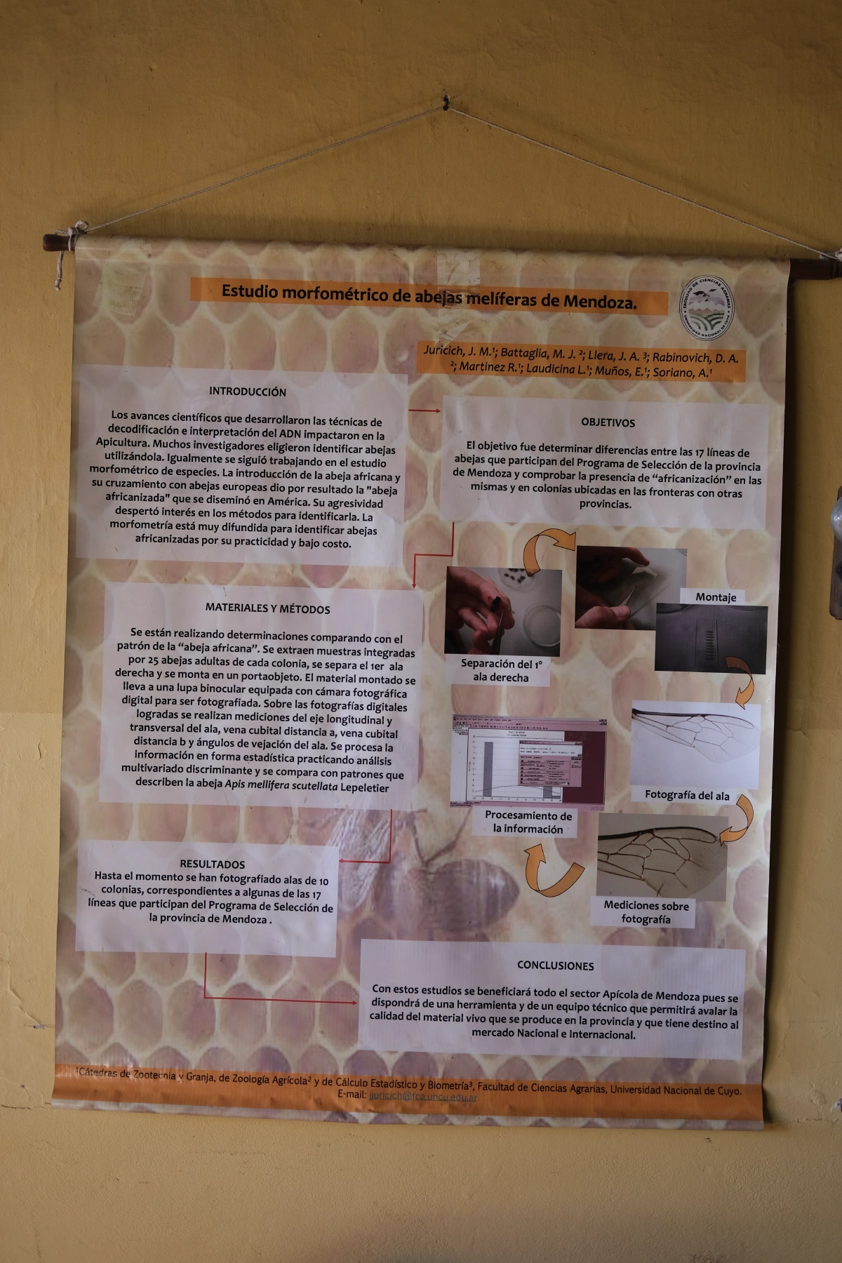The owner's dad is a professor who helps him in the production of honey and wine