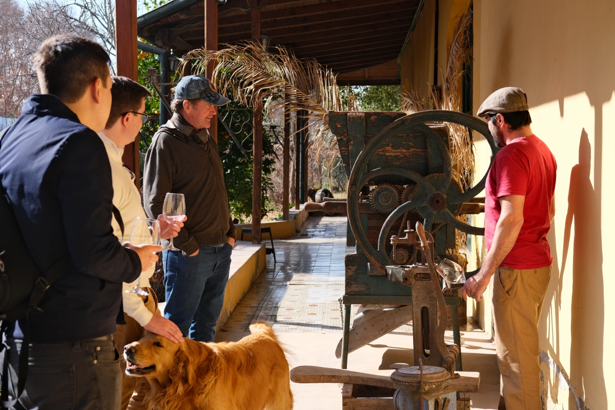 ... needs some pets! They still use these machines in pressing the grapes...