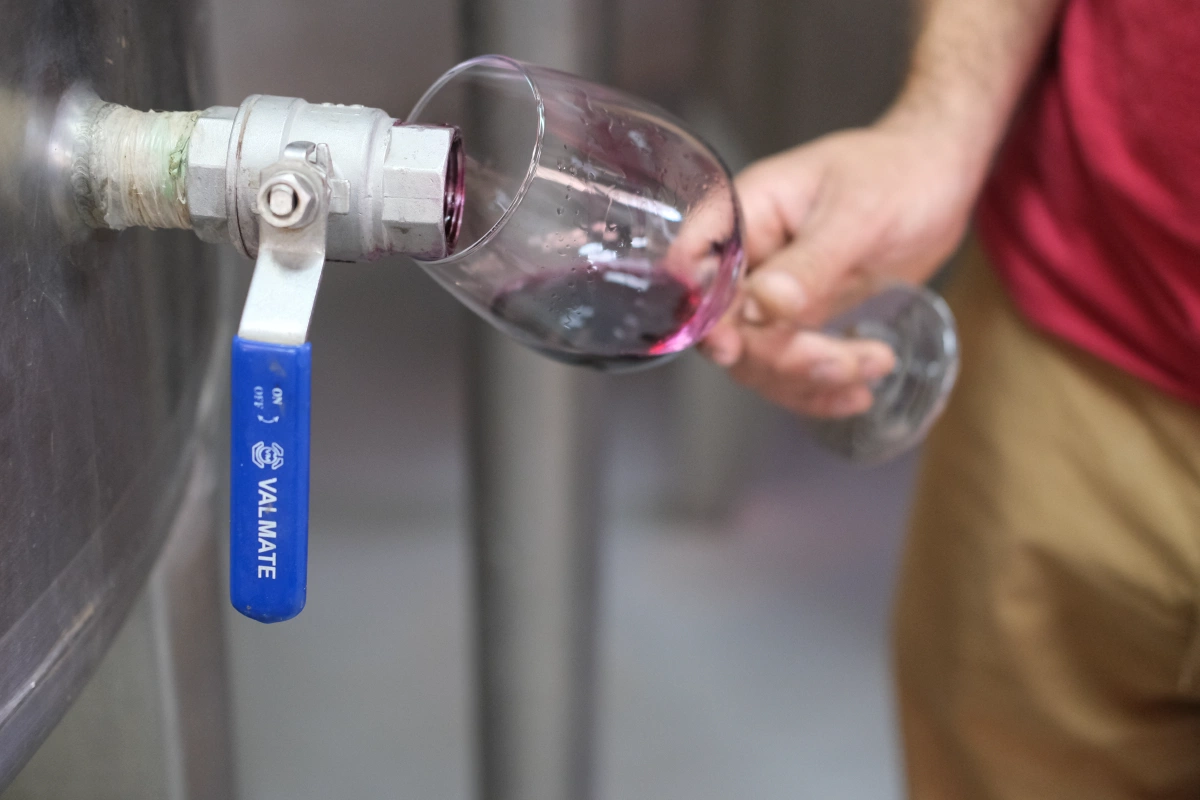 The color of fresh wine is more purple, this is at 15 days old...
