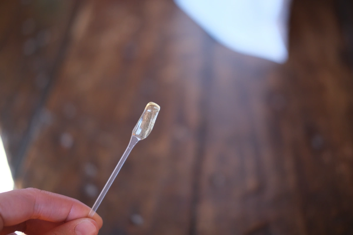 We got to taste the honey! It tastes different, due to the fact that the bees get their nectar from desert flowers here...