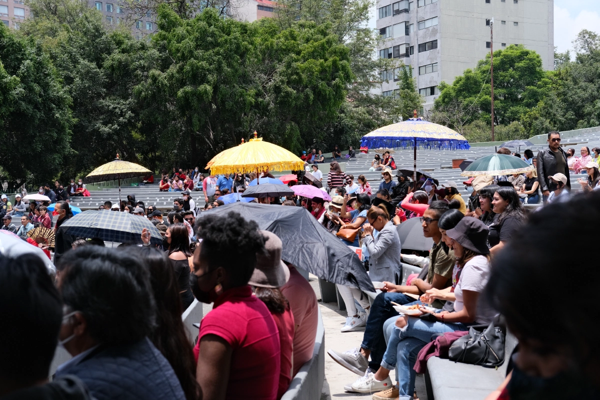 If only we joined the raffle, I know we will win! High chances of it!