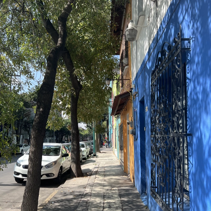 Why Mexico City Will Always Be A Home To Me