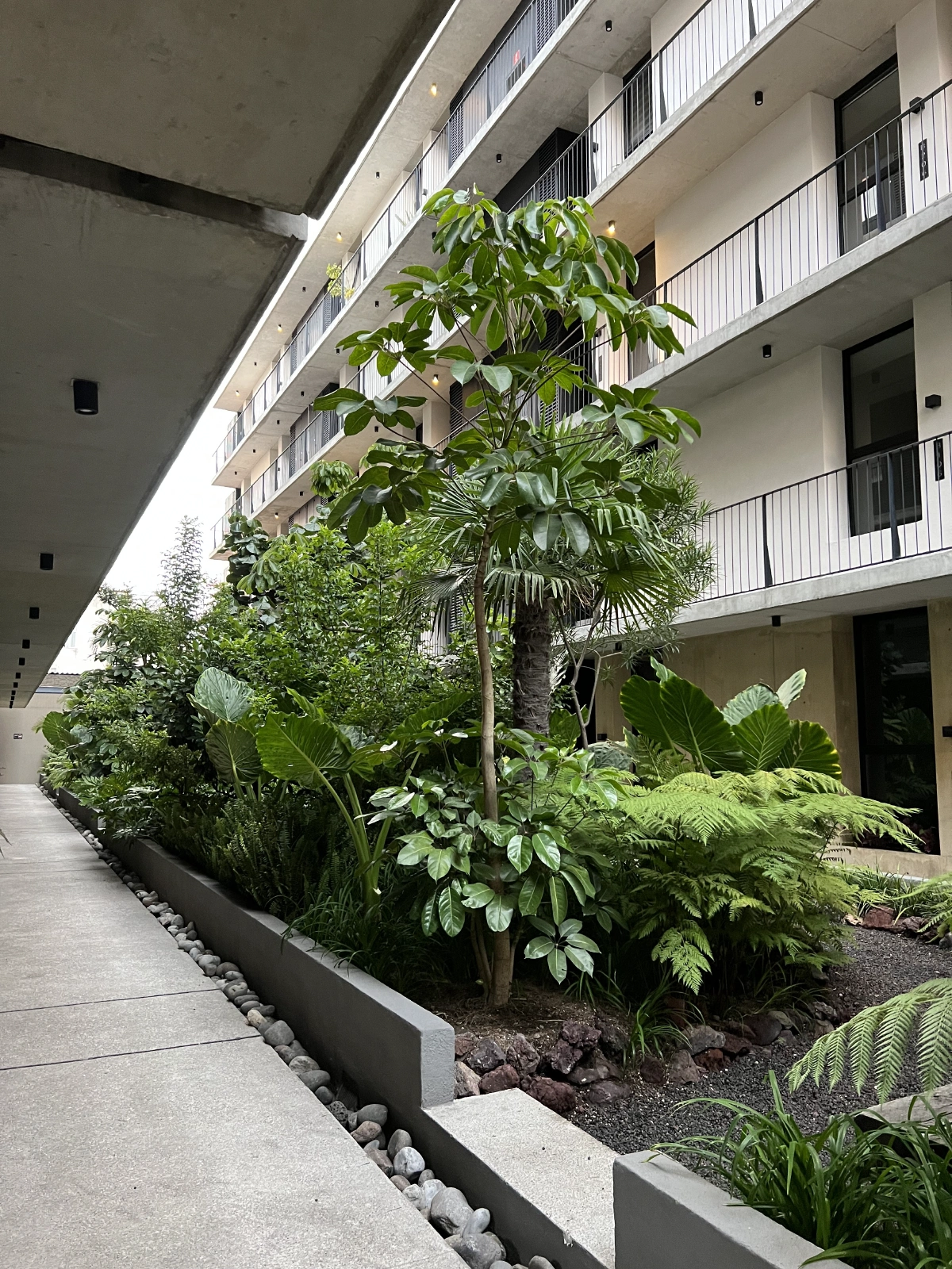 Our apartment had a nice green space.