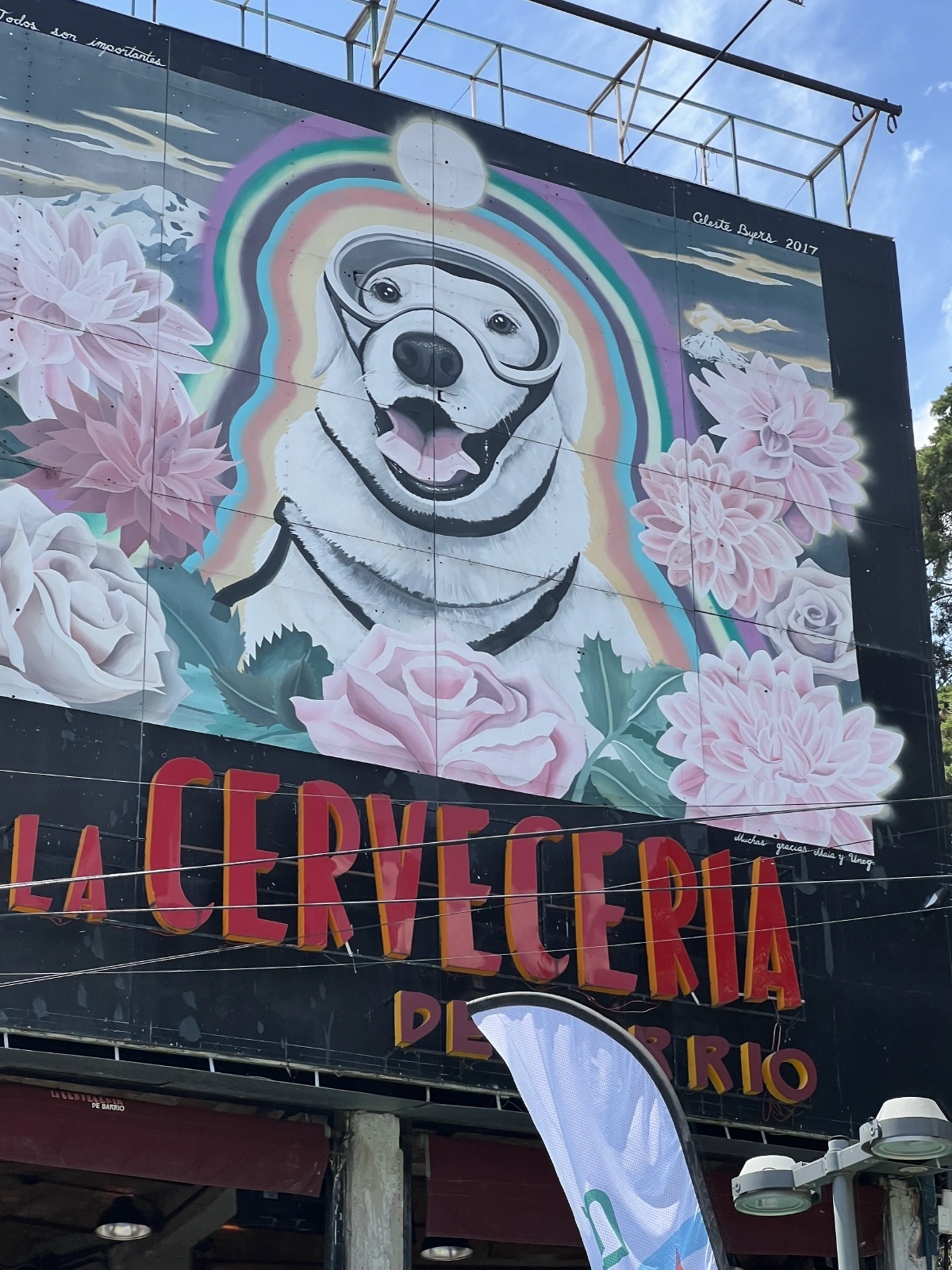 Everywhere, there are cute things to see!