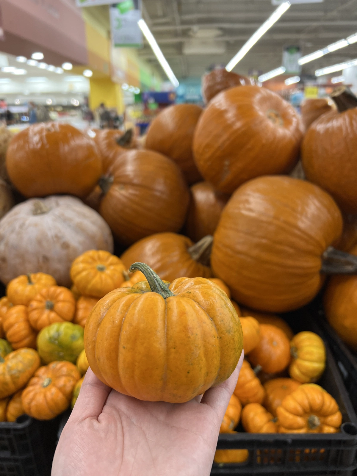 And then it's Halloween time!