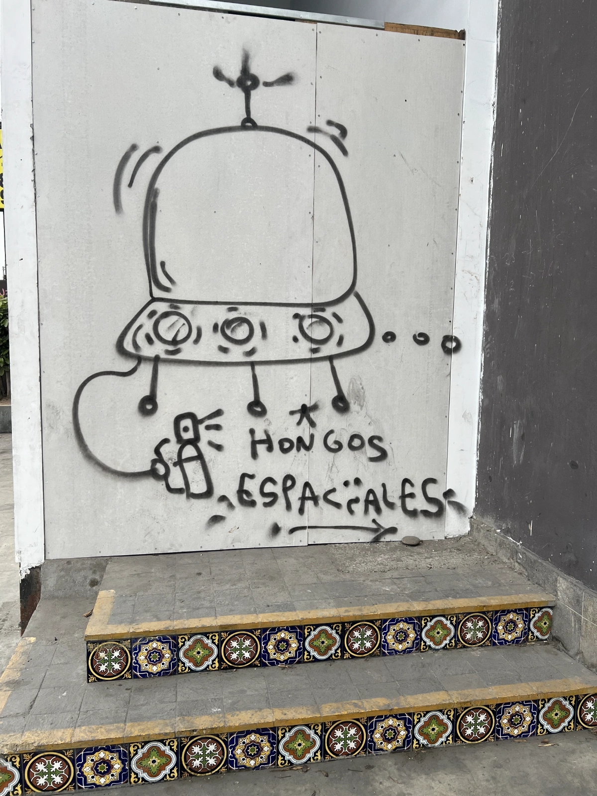 Walking to the nearby grocery... It says special mushrooms... SPECIAL.