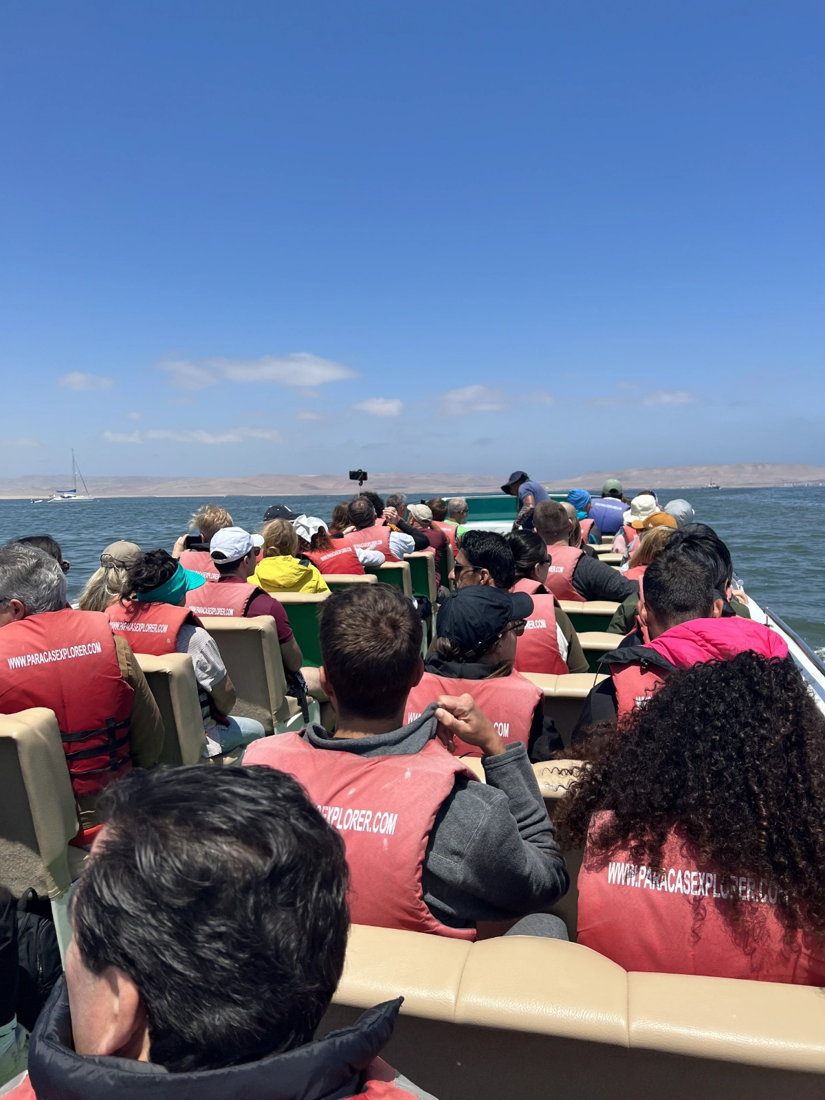 The boat ride from the shore to near Ballestas, we saw different birds, maybe seals on the water!
