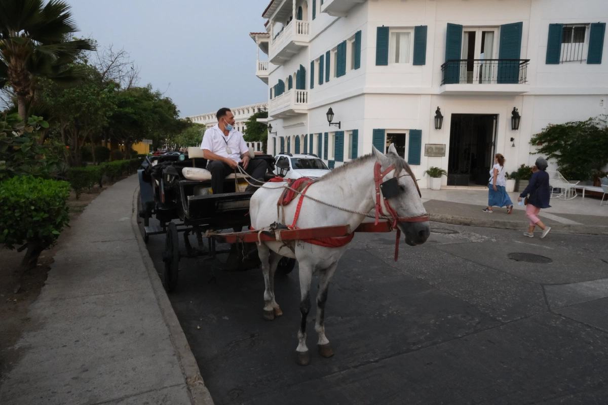 1 horse power