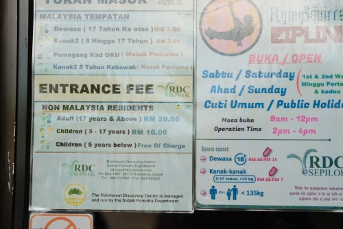 Exploring Borneo: Sepilok Rainforest, Orangutans and Sun Bears