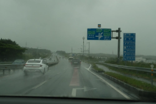 Rainy Seogwipo, Jusangjeollidae, Jeju - South Korea
